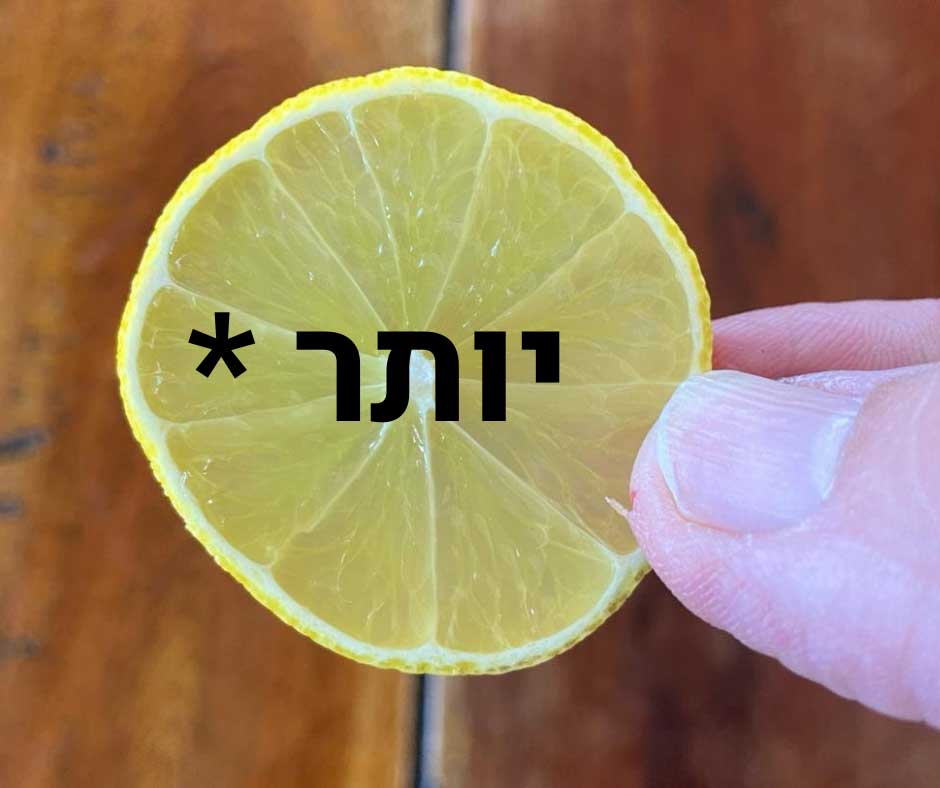 הסוף של הספר..